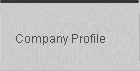 company profile